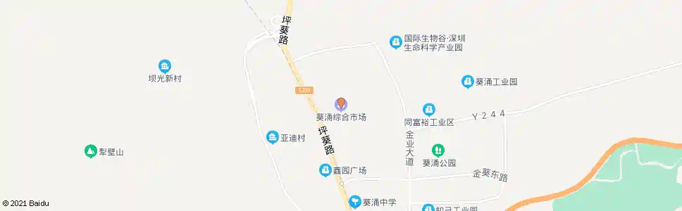 深圳葵涌新市场_公交站地图_深圳公交_妙搜公交查询2024