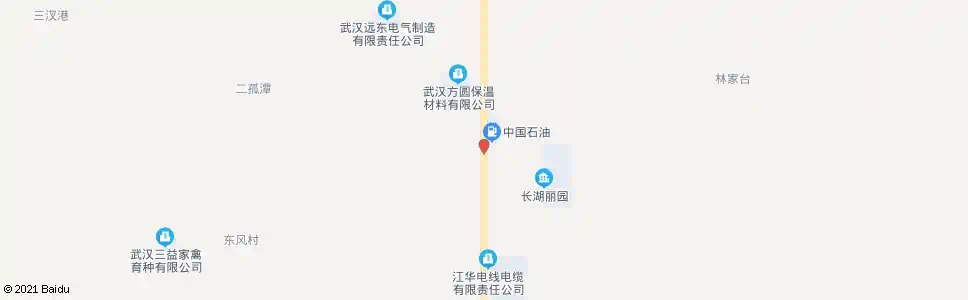 武汉东西湖大道林家台_公交站地图_武汉公交_妙搜公交查询2024