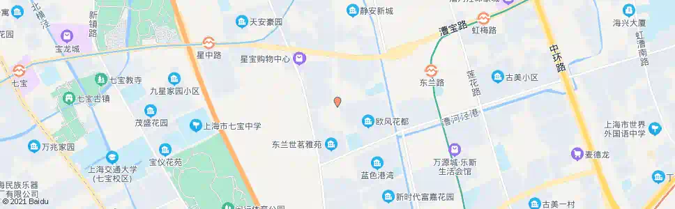 上海龙茗路东兰路_公交站地图_上海公交_妙搜公交查询2024